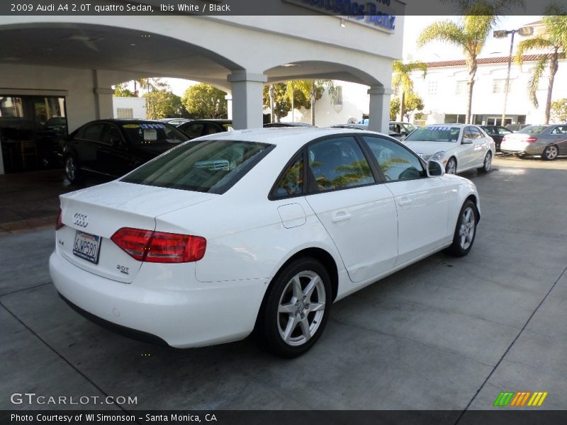 Ibis White / Black 2009 Audi A4 2.0T quattro Sedan