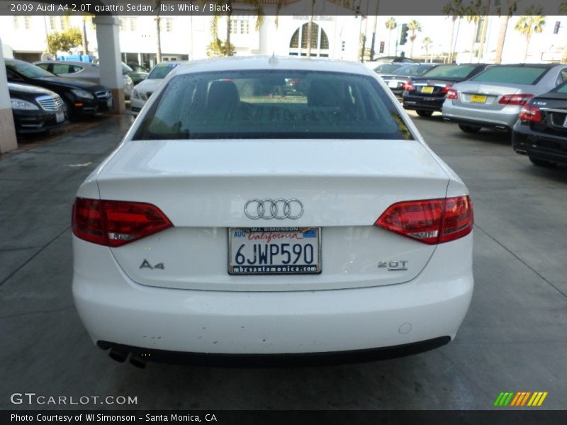 Ibis White / Black 2009 Audi A4 2.0T quattro Sedan