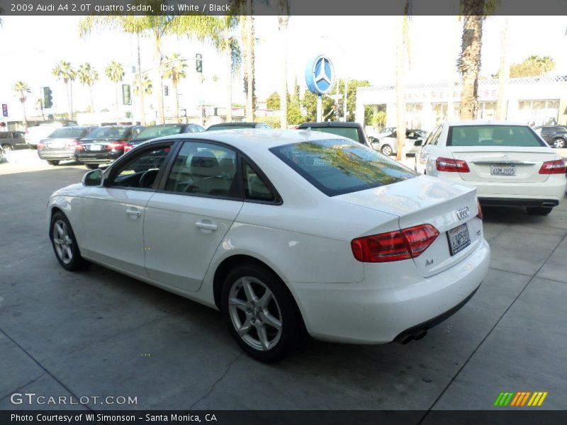 Ibis White / Black 2009 Audi A4 2.0T quattro Sedan