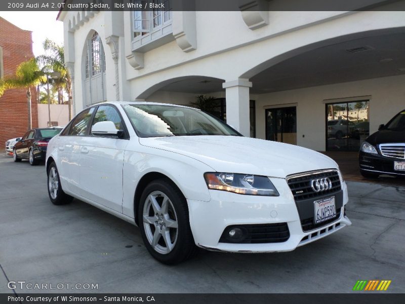Ibis White / Black 2009 Audi A4 2.0T quattro Sedan