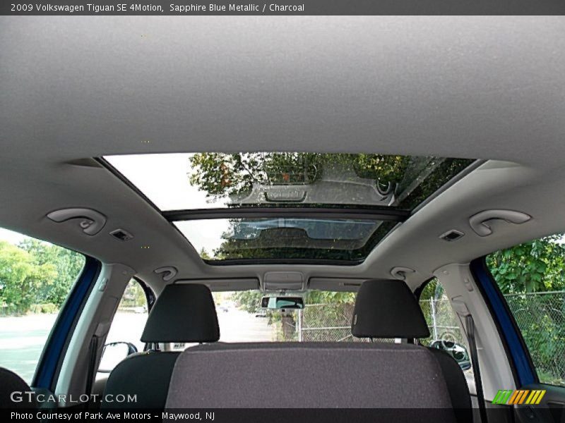 Sapphire Blue Metallic / Charcoal 2009 Volkswagen Tiguan SE 4Motion