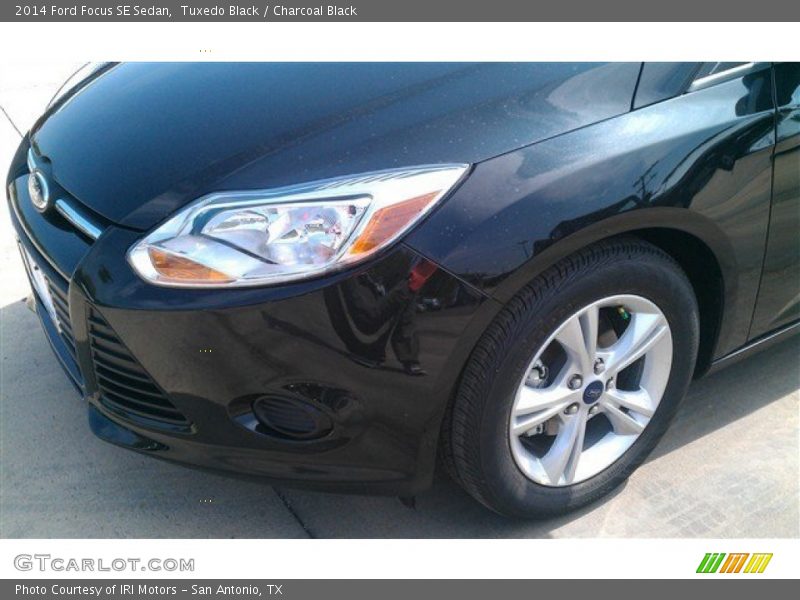 Tuxedo Black / Charcoal Black 2014 Ford Focus SE Sedan