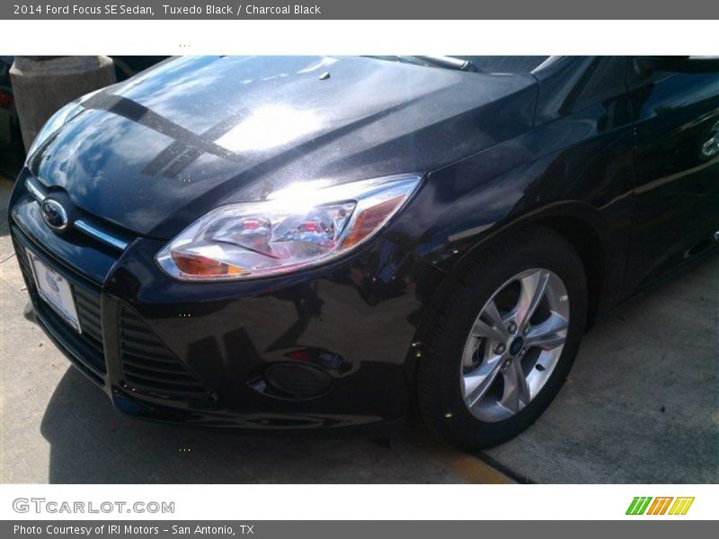 Tuxedo Black / Charcoal Black 2014 Ford Focus SE Sedan