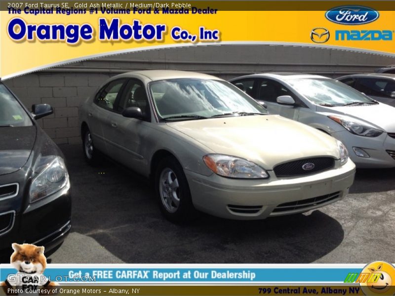 Gold Ash Metallic / Medium/Dark Pebble 2007 Ford Taurus SE