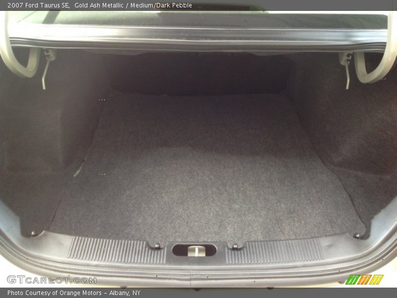 Gold Ash Metallic / Medium/Dark Pebble 2007 Ford Taurus SE