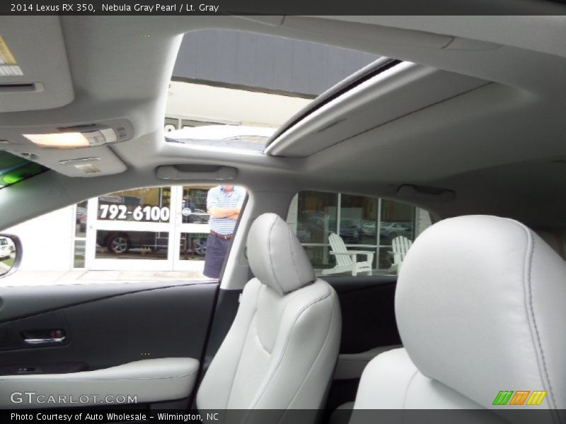 Nebula Gray Pearl / Lt. Gray 2014 Lexus RX 350