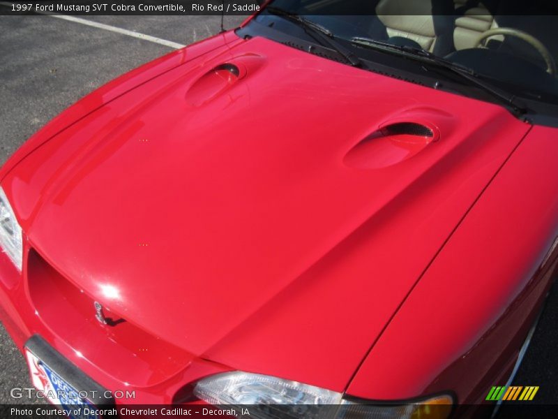 Rio Red / Saddle 1997 Ford Mustang SVT Cobra Convertible