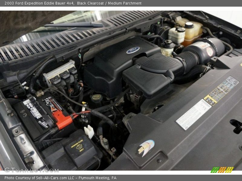 Black Clearcoat / Medium Parchment 2003 Ford Expedition Eddie Bauer 4x4