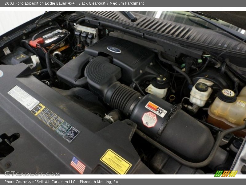 Black Clearcoat / Medium Parchment 2003 Ford Expedition Eddie Bauer 4x4