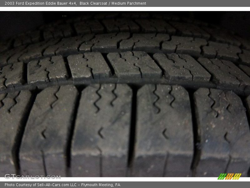 Black Clearcoat / Medium Parchment 2003 Ford Expedition Eddie Bauer 4x4