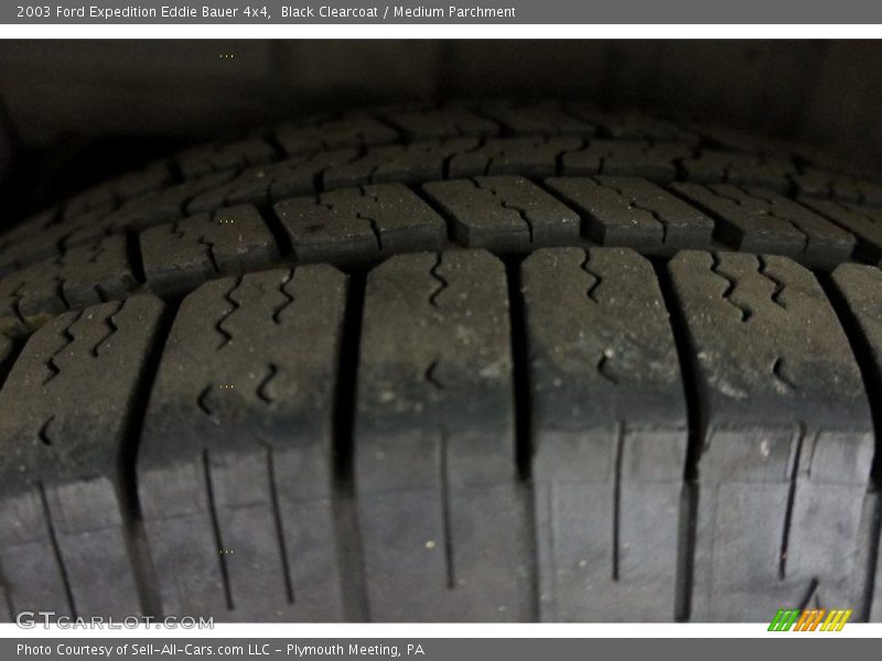 Black Clearcoat / Medium Parchment 2003 Ford Expedition Eddie Bauer 4x4