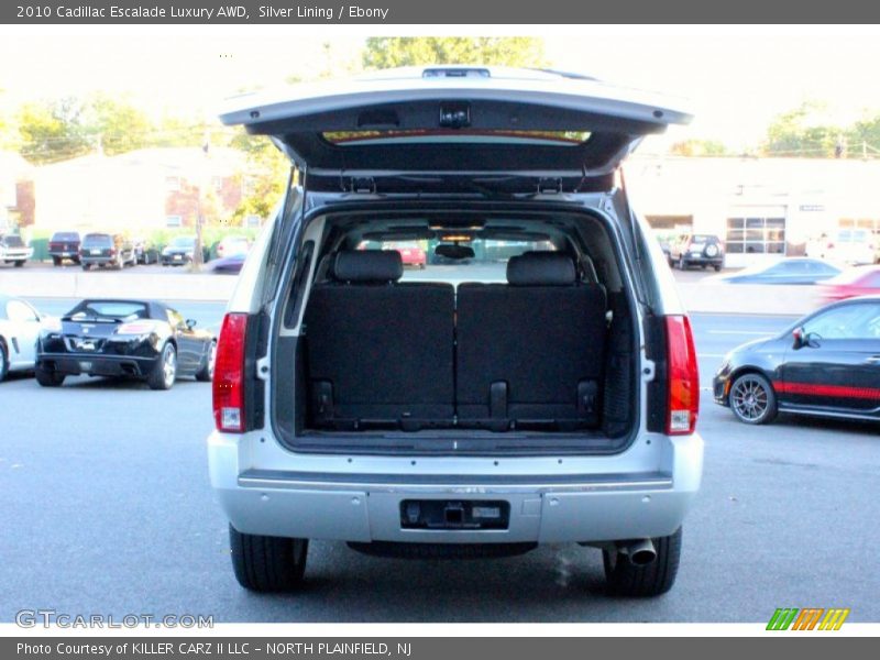 Silver Lining / Ebony 2010 Cadillac Escalade Luxury AWD