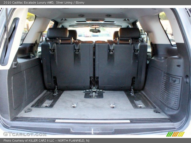 Silver Lining / Ebony 2010 Cadillac Escalade Luxury AWD