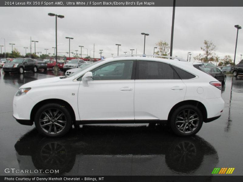 Ultra White / F Sport Black/Ebony Bird's Eye Maple 2014 Lexus RX 350 F Sport AWD