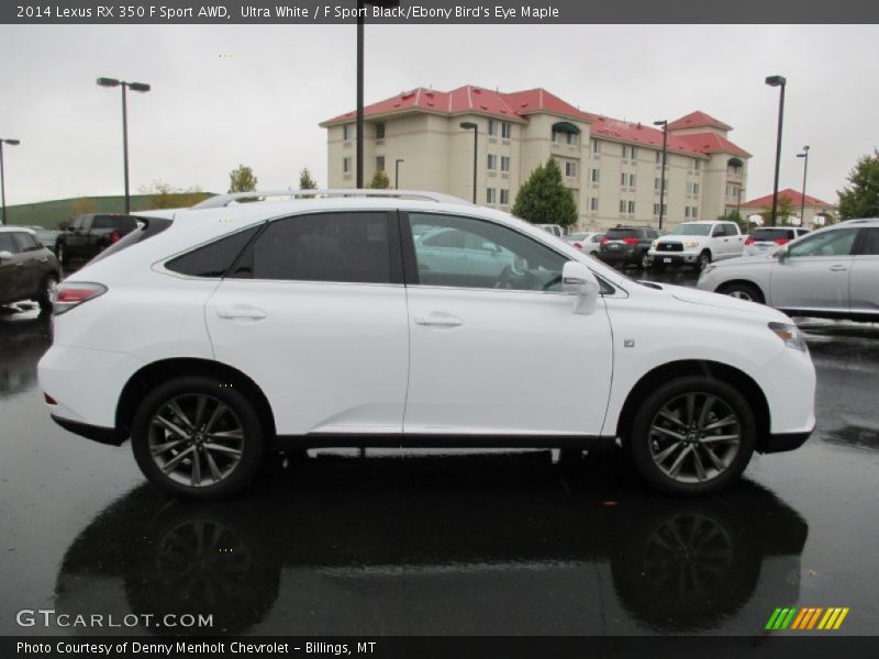 Ultra White / F Sport Black/Ebony Bird's Eye Maple 2014 Lexus RX 350 F Sport AWD