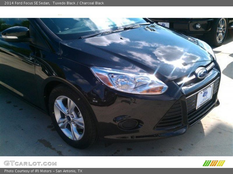 Tuxedo Black / Charcoal Black 2014 Ford Focus SE Sedan