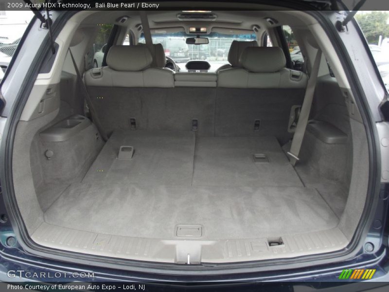 Bali Blue Pearl / Ebony 2009 Acura MDX Technology