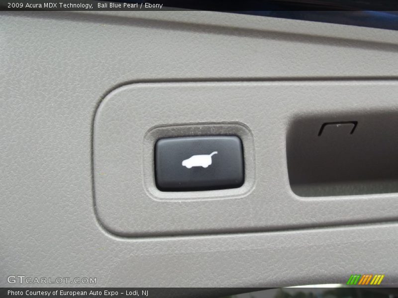 Bali Blue Pearl / Ebony 2009 Acura MDX Technology