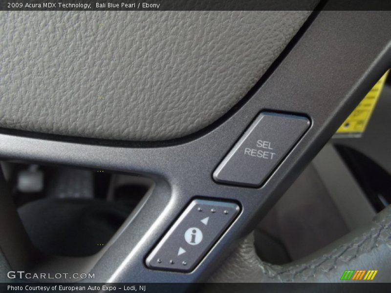 Bali Blue Pearl / Ebony 2009 Acura MDX Technology