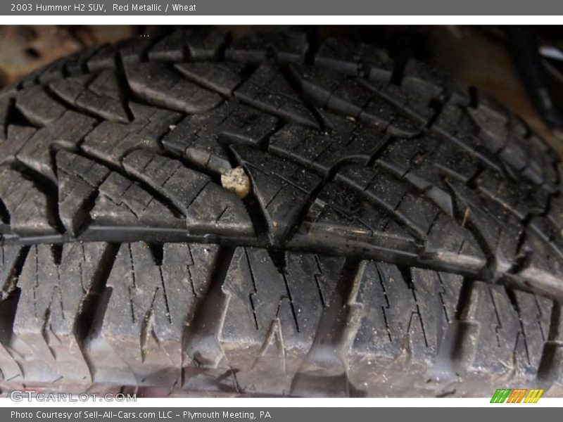Red Metallic / Wheat 2003 Hummer H2 SUV