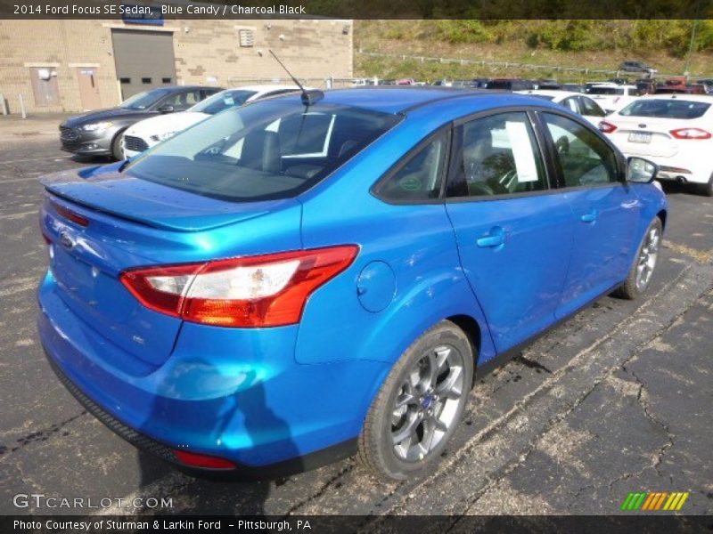 Blue Candy / Charcoal Black 2014 Ford Focus SE Sedan