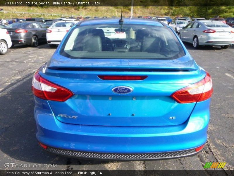 Blue Candy / Charcoal Black 2014 Ford Focus SE Sedan