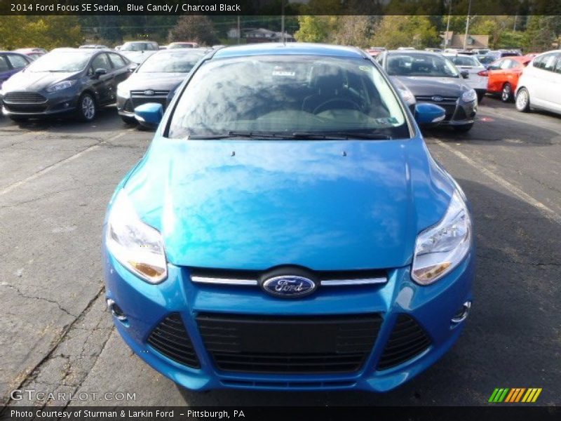 Blue Candy / Charcoal Black 2014 Ford Focus SE Sedan