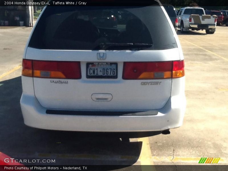 Taffeta White / Gray 2004 Honda Odyssey EX-L