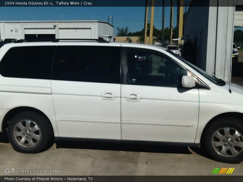 Taffeta White / Gray 2004 Honda Odyssey EX-L