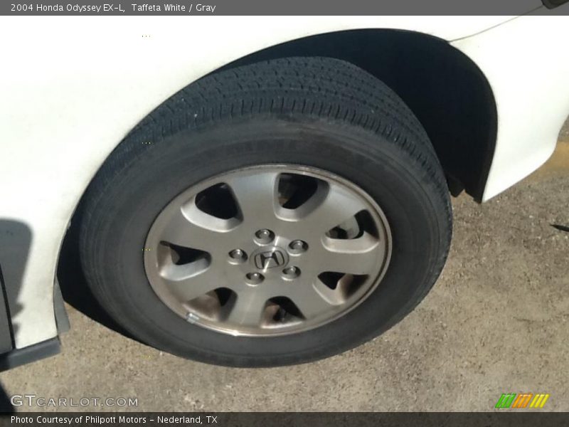 Taffeta White / Gray 2004 Honda Odyssey EX-L