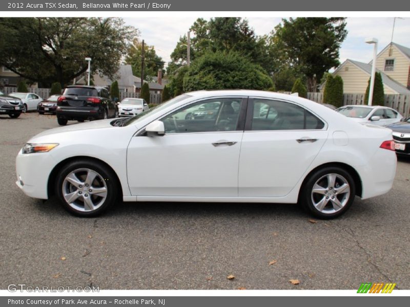 Bellanova White Pearl / Ebony 2012 Acura TSX Sedan