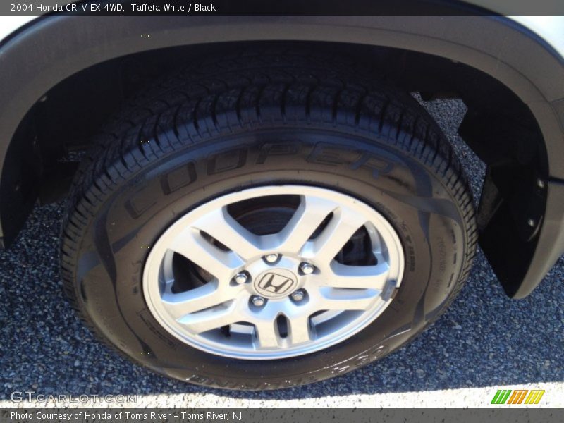 Taffeta White / Black 2004 Honda CR-V EX 4WD