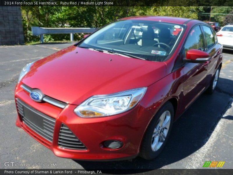 Ruby Red / Medium Light Stone 2014 Ford Focus SE Hatchback