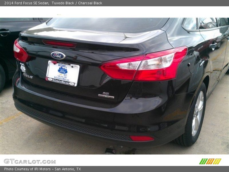 Tuxedo Black / Charcoal Black 2014 Ford Focus SE Sedan