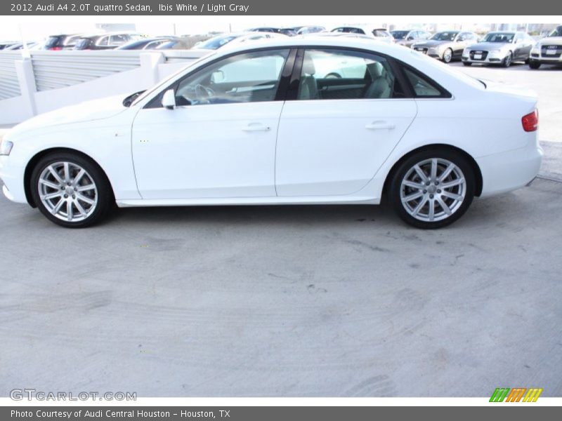 Ibis White / Light Gray 2012 Audi A4 2.0T quattro Sedan