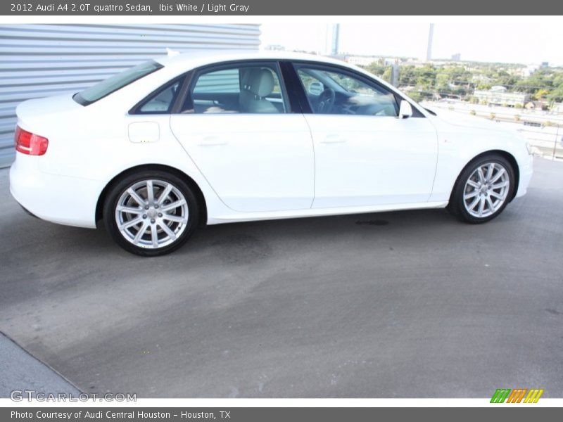 Ibis White / Light Gray 2012 Audi A4 2.0T quattro Sedan