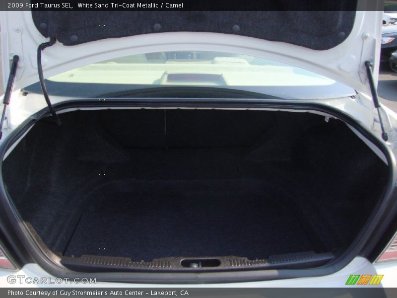 White Sand Tri-Coat Metallic / Camel 2009 Ford Taurus SEL