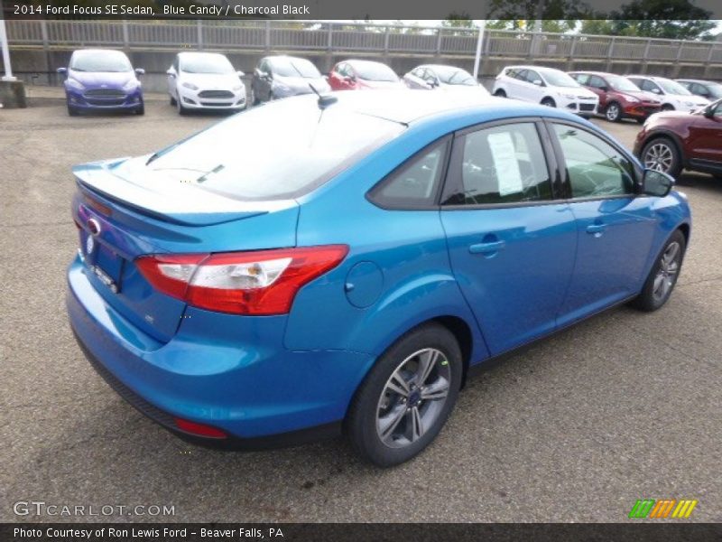Blue Candy / Charcoal Black 2014 Ford Focus SE Sedan
