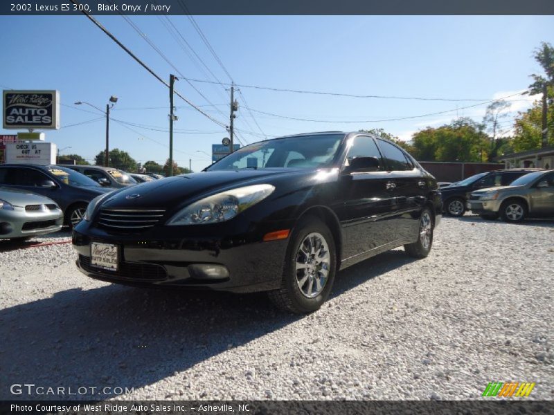 Black Onyx / Ivory 2002 Lexus ES 300
