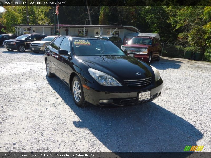 Black Onyx / Ivory 2002 Lexus ES 300