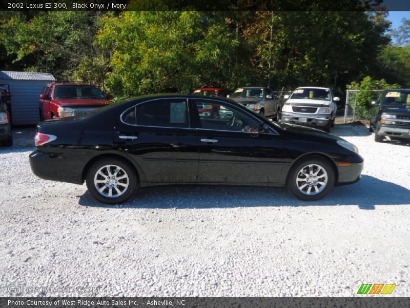 Black Onyx / Ivory 2002 Lexus ES 300
