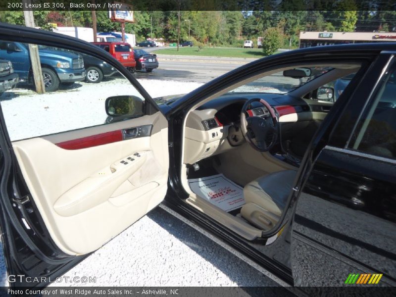 Black Onyx / Ivory 2002 Lexus ES 300