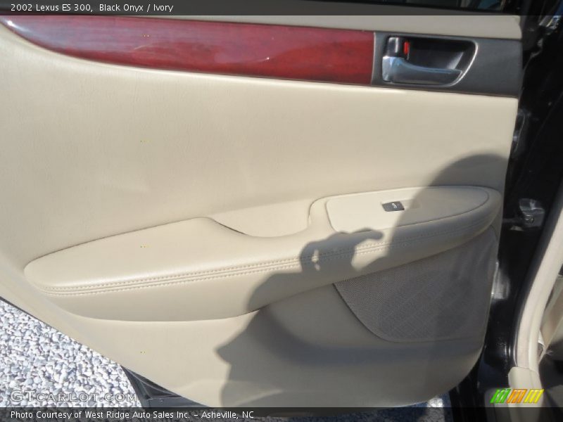Black Onyx / Ivory 2002 Lexus ES 300
