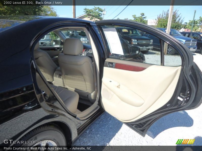 Black Onyx / Ivory 2002 Lexus ES 300