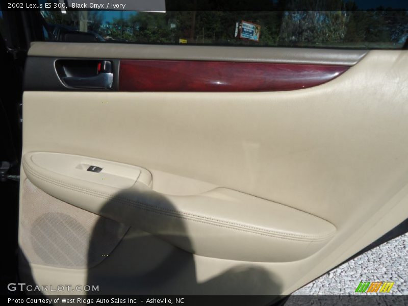 Black Onyx / Ivory 2002 Lexus ES 300