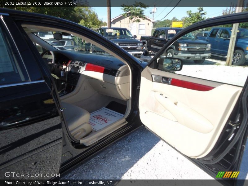 Black Onyx / Ivory 2002 Lexus ES 300
