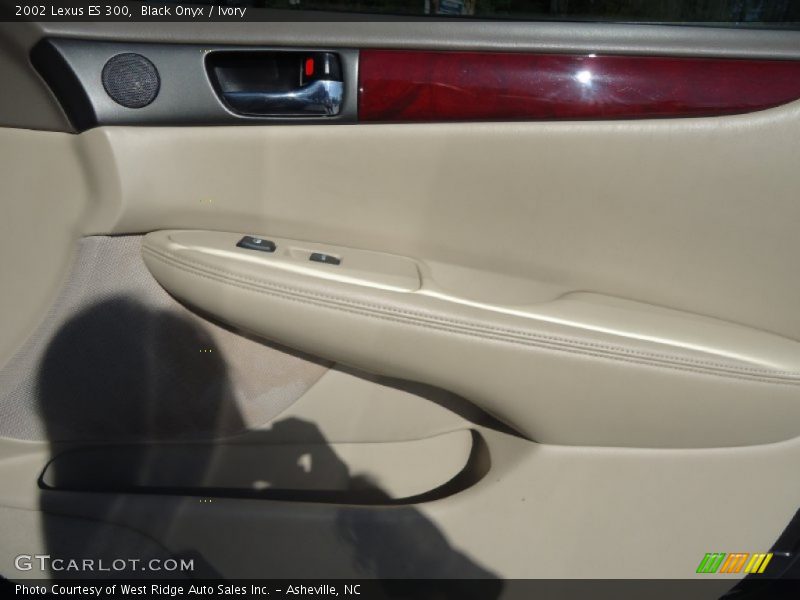 Black Onyx / Ivory 2002 Lexus ES 300