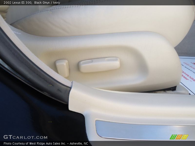 Black Onyx / Ivory 2002 Lexus ES 300