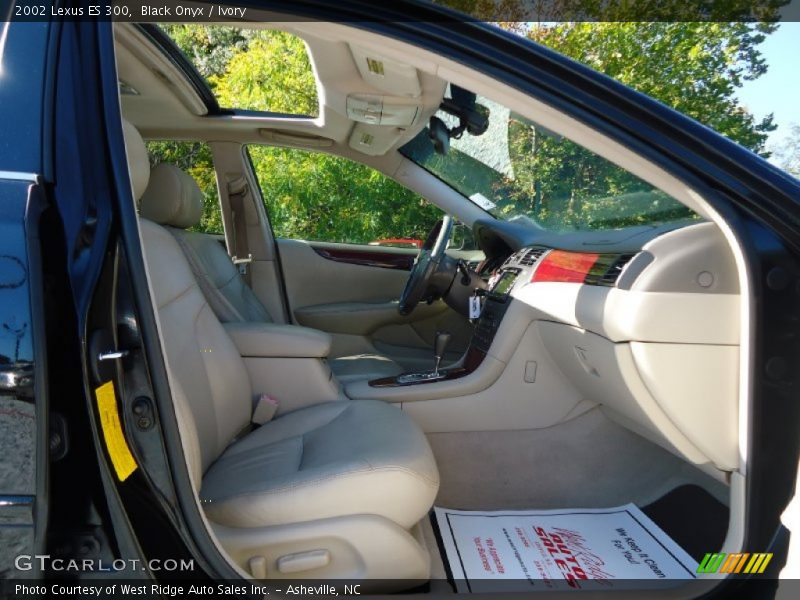 Black Onyx / Ivory 2002 Lexus ES 300