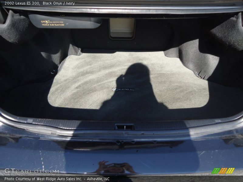 Black Onyx / Ivory 2002 Lexus ES 300